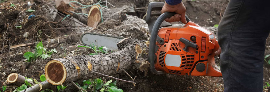 élagages et abattage d'arbres